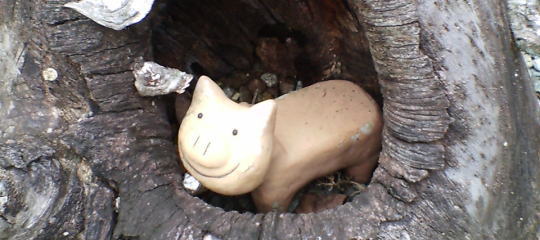 木の根元に豚