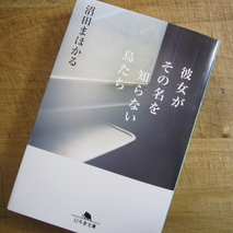 『彼女がその名を知らない鳥たち』沼田まほかる著／読了