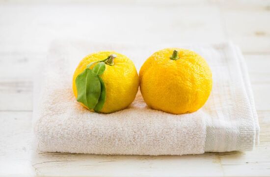 冬至ですのイメージ