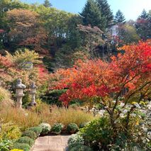 紅葉狩りへ