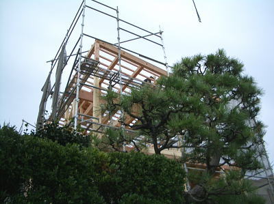 城山の家　上棟のイメージ