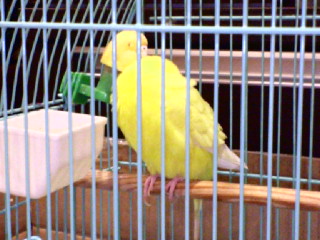 20080813203930.jpg
