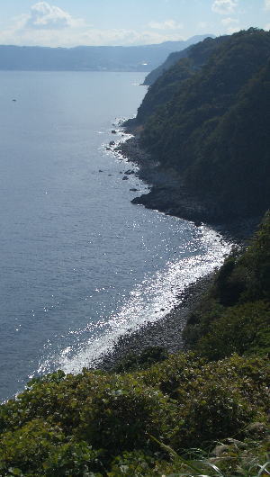 網代の海