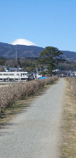 河川敷から見た富士山