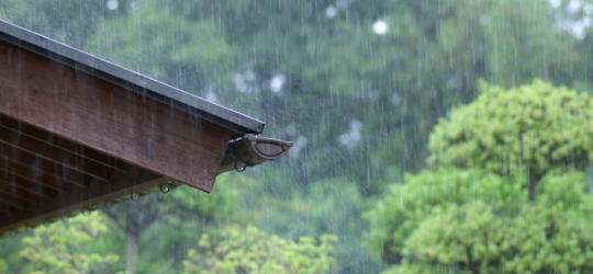 雨と庇