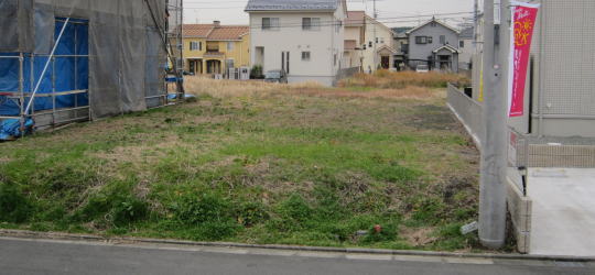 前面道路から計画地を見る