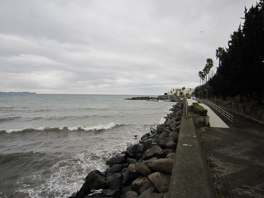 網代の海