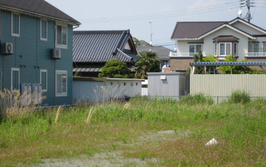 現地調査／造成前