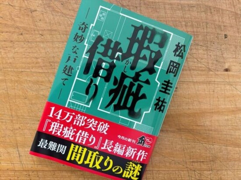 『瑕疵借り－奇妙な戸建て－』松岡圭祐 著のイメージ