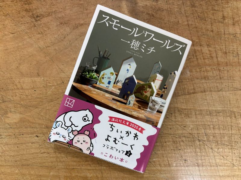 『スモールワールズ』一穂ミチ 著のイメージ