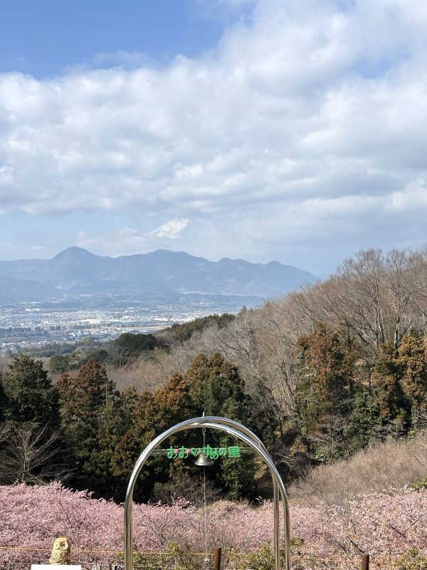河津桜と富士山のイメージ