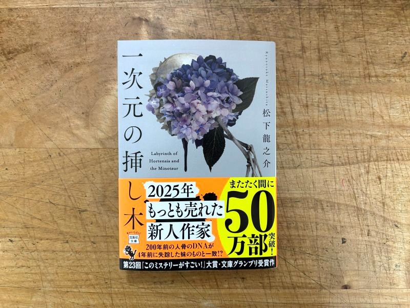 『一次元の挿し木』松下龍之介 著 | ドラマ化前に読んでみましたのイメージ