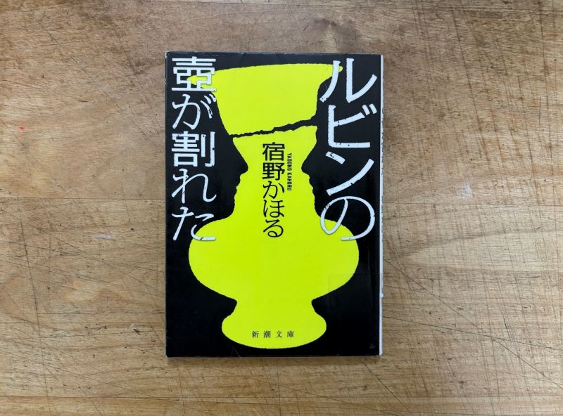 『ルビンの壺が割れた』宿野かほる 著のイメージ